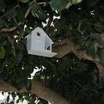 Casa Do Terreiro