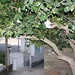 度假居 Casa Do Terreiro *