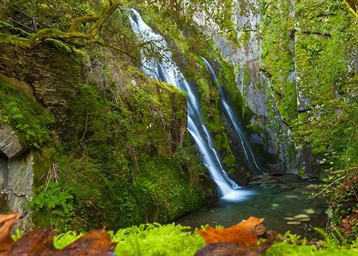 Holiday home Casa Do Terreiro